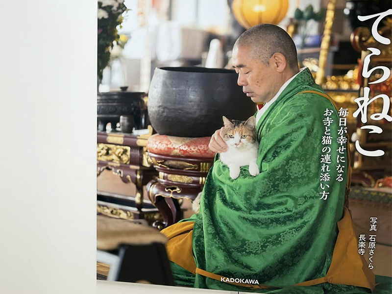 長楽寺の本堂で住職が可愛い猫を抱いている写真