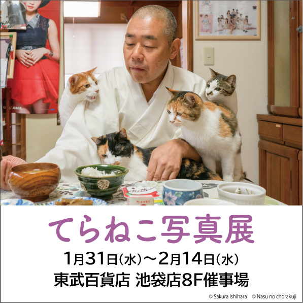 那須の長楽寺の住職が猫達と一緒に朝食を食べている様子の画像