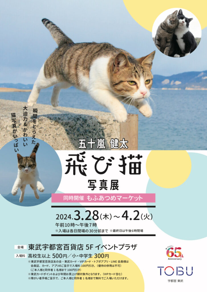 飛び猫で有名な猫の写真家 五十嵐健太さんの写真展が東武宇都宮百貨店で開催される飛び猫写真が描かれた告知ポスター画像