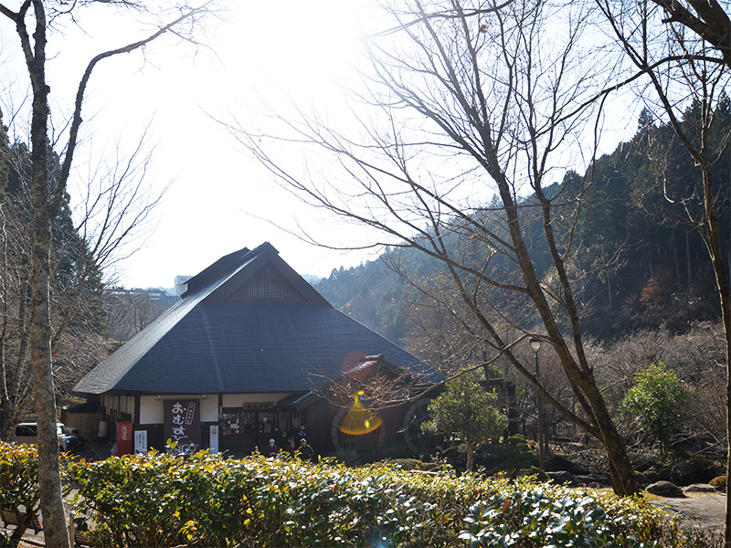 水車のある風景。陽の光が優しく降り注いでいましたキラキラ…