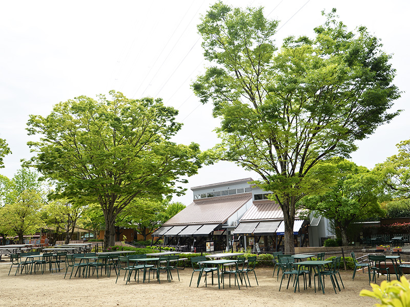 オアシスパーク内にある「かわしまファーマーズ」近くの屋外テラス席。緑色のテーブルと椅子が砂利の広場に多数並び、奥には茶色の屋根の建物と大きな新緑の木々がそびえている。