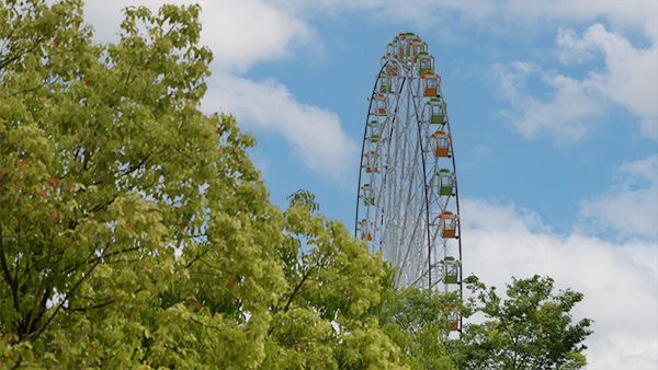 青空と白い雲を背景に、緑豊かな木々の葉の隙間から、岐阜県各務原市にあるオアシスパーク（川島PA下り）のシンボルである、緑と白のゴンドラが並ぶ大きな観覧車の一部が見える。