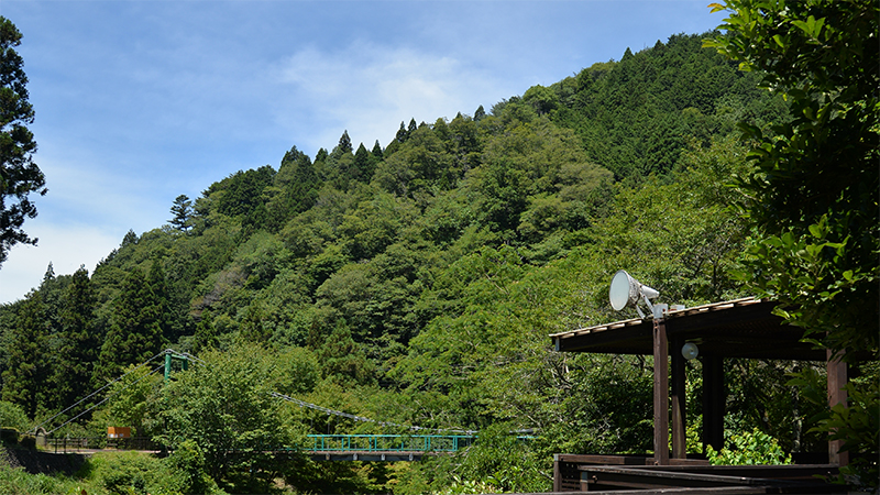香恋の館近く、豊かな緑に囲まれた吊り橋とテラスの風景