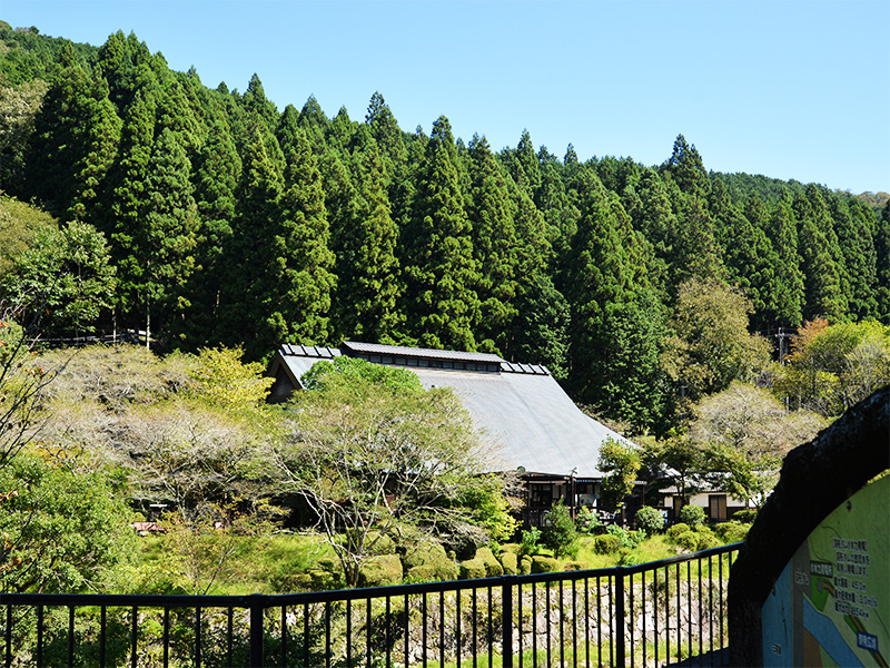10月2日の爽やかな秋晴れの下、背後に深く生い茂る杉林と青空が広がる「香恋の館」の遠景。自然豊かな山あいに大きな屋根の建物が佇み、手前には川沿いの黒いフェンスと散策路が広がっています。